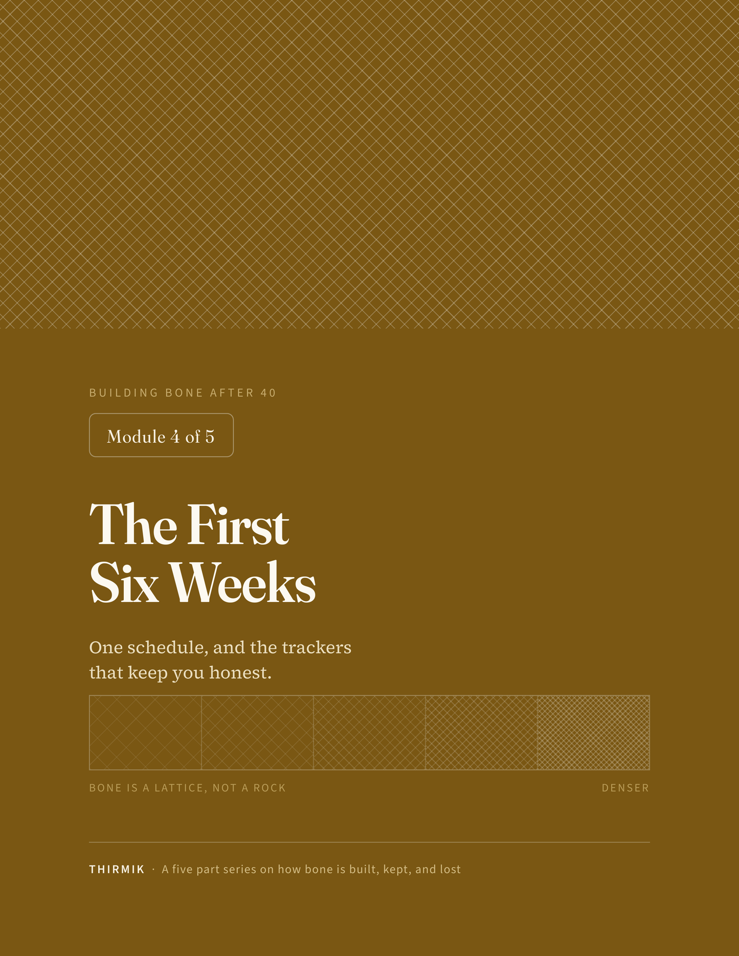 Module 4: The First Six Weeks